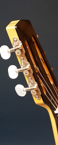 Stringphonic Guitar Company