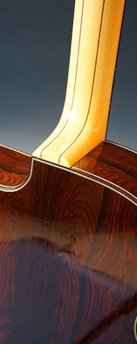 Stringphonic Guitar Company