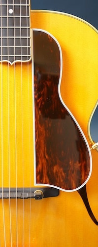 Stringphonic Guitar Company
