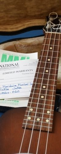 Stringphonic Guitar Company